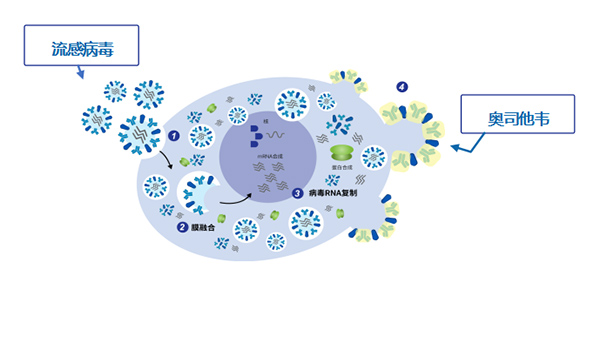 微信(xin)圖片_20230504105327.jpg 微信(xin)圖片_20230504105327.jpg