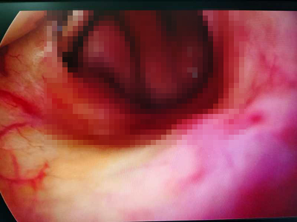 123123.jpg 123123.jpg