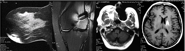 微信(xin)圖片_20241017073601.jpg 微信(xin)圖片_20241017073601.jpg