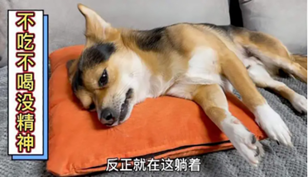 微信(xin)圖片_20240319153353.jpg 微信(xin)圖片_20240319153353.jpg