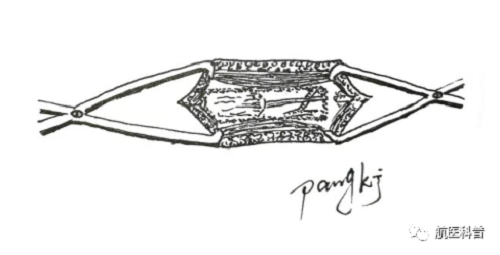 微信(xin)圖片_20191122125231.png 微信(xin)圖片_20191122125231.png