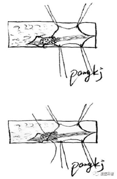 微信(xin)圖片_20191122125243.jpg 微信(xin)圖片_20191122125243.jpg