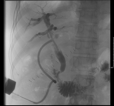 微信(xin)圖片_20230529163044.jpg 微信(xin)圖片_20230529163044.jpg